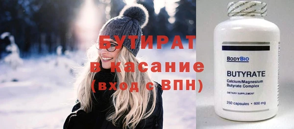 индика Алзамай