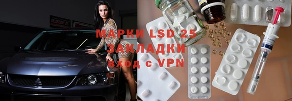 индика Алзамай