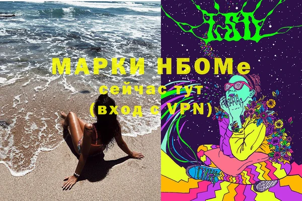 индика Алзамай