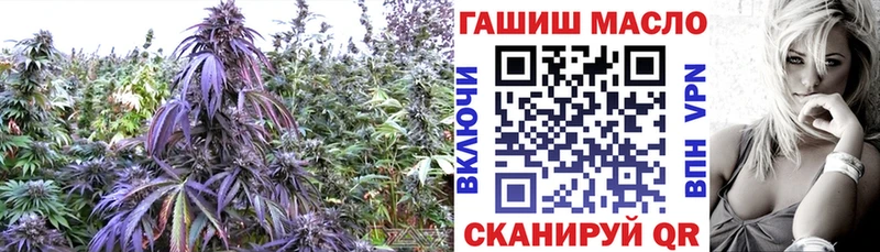 ТГК THC oil Белебей