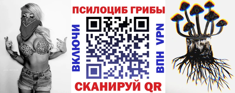 kraken как войти  Белебей  Галлюциногенные грибы MAGIC MUSHROOMS 