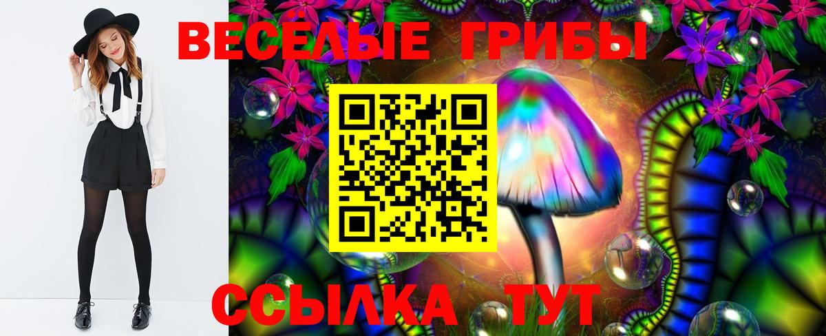 Псилоцибиновые грибы ЛСД Белебей